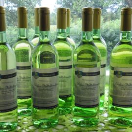 Lepaan viinit - viner på Lepaa vingård